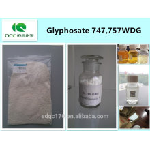 Herbicide / weedicide glyphosate 747 g / l, 757 g / l WDG, 74,7%, 75,7% WDG, cas: 1071-83-6 -lq